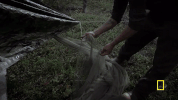 GIF by National Geographic Channel