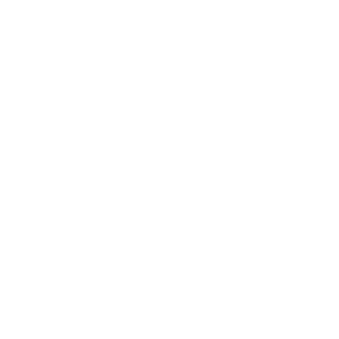 Lnnx Sticker by Centro de Kiteboarding e Esportes