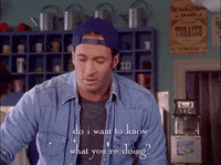 season 1 netflix GIF by Gilmore Girls 