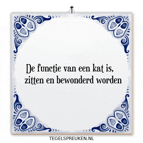 Nl Spreuk GIF by Tegelspreuken.nl