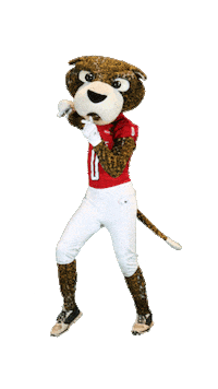 South Alabama Football Sticker by University of South Alabama