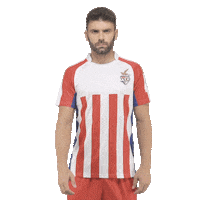 Isl Sticker by Indian Super League