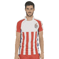 Isl Sticker by Indian Super League