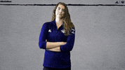 NevadaWolfPack swim dive wolfpack nevada GIF
