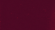 Martin Acsparta GIF by AC Sparta Praha