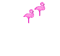 pinkflamingogoldcoast pink fabulous flamingo gold coast Sticker