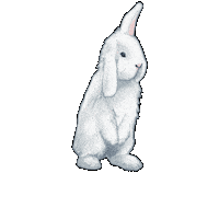 Skz Straykids Sticker