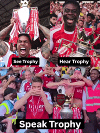 Arsenal Trophy GIF