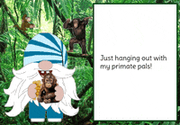 Monkey Gnome GIF