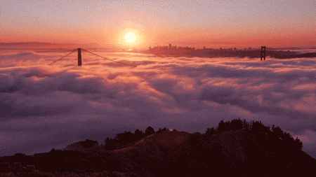 bridge fog GIF