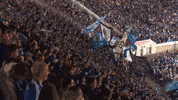 Football Soccer GIF by FC Schalke 04