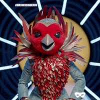 Robin GIF by The Masked Singer UK