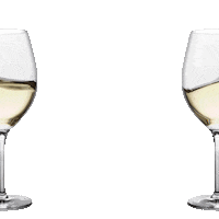 contadicastaldi cheers glass toast vino Sticker