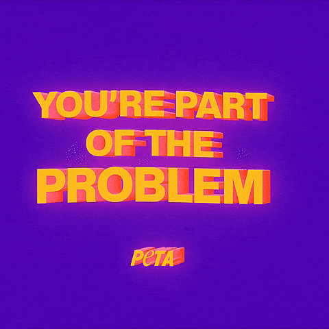 Animal Rights GIF by PETA
