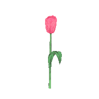forencos 원더랜드 포렌코즈 Sticker