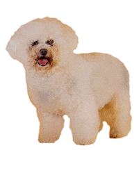 Bbc One Lol Sticker by BBC