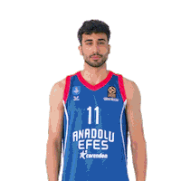 Basketball Team Sticker by Anadolu Efes SK
