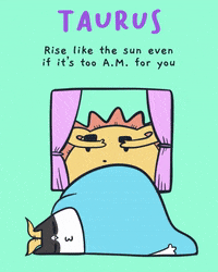 Cat May GIF by Mumosa & Ragout