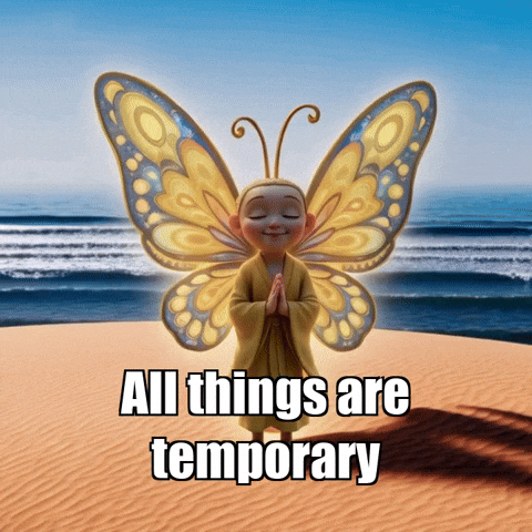 Sand Dune Butterfly GIF by BuddhaFlyJourney