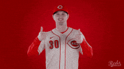 Baseball Mlb GIF by Cincinnati Reds
