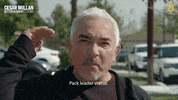 Dogwhisperer GIF by National Geographic Channel