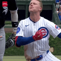 Chicago Cubs Mlb GIF by TheDreamTeam 