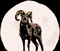 Bleckwiesen bwf bleckwiesenfestival bleckwiesen GIF