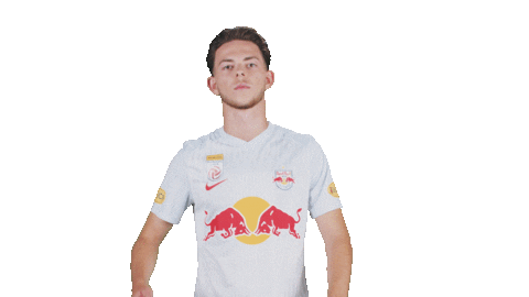 Football Sport Sticker by FC Red Bull Salzburg
