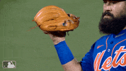 GIF by New York Mets