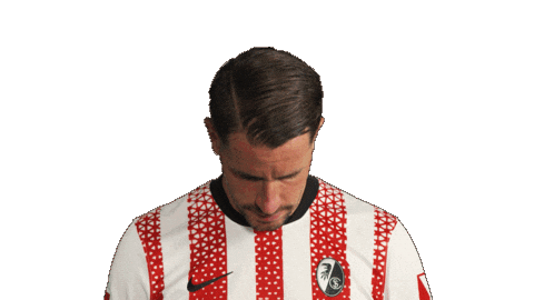 Look Up Sc Freiburg Sticker by Bundesliga