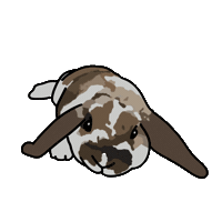 Rabbitph Sticker