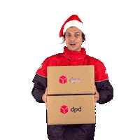 Christmas Delivery Sticker by DPD France