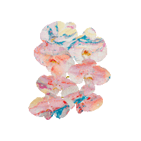 ACIDFLWRS rainbow flowers orchid marbled Sticker