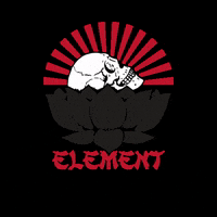 Elementargentina elementargentina GIF