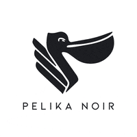 pelikanoir dance party house techno GIF