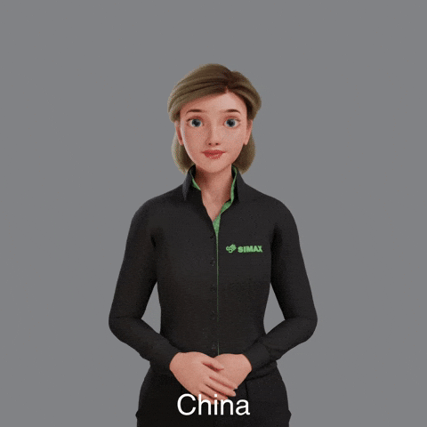 China Avatar GIF by Sign Time - SiMAX