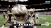National Football League GIF by NFL
