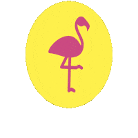 Pink Flamingo Sticker by Heideweek