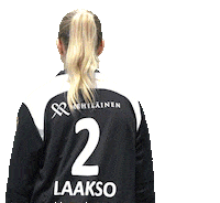 F-liiga floorball salibandy innebandy fliiga Sticker