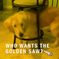 Dutchyoungcreatives  GIF