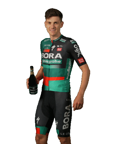 Happy Celebration Sticker by BORA-hansgrohe