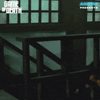 Martial Arts Film GIF by Arrow Video