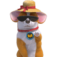 mocoaifay animation dog cartoon corgi Sticker