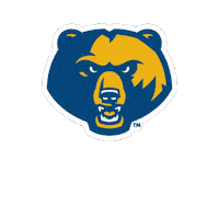 Game Day Sticker by WVU Tech Golden Bears