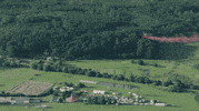 swing GIF by Red Bull