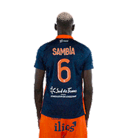Sambia Sticker by MHSC