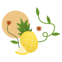 Kombuchafruit Sticker by vedakombucha