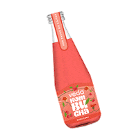 vedakombucha kombuchadrink vedakombucha vedakombuchacamucamu kombuchacamucamu Sticker