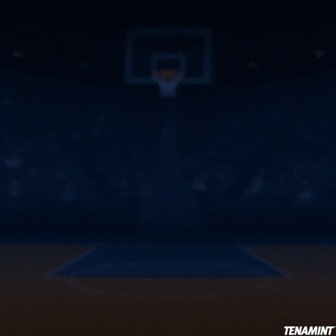 TENAMINT giphyupload basketball pixelart nba GIF