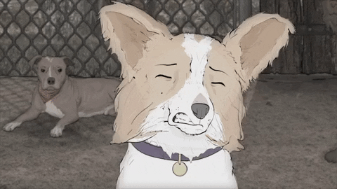 season 1 cats GIF by Animals